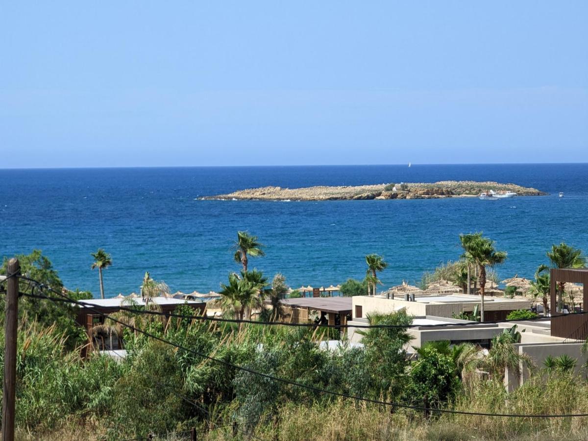 Kalliopi Studios - Apartments Chania  Room photo