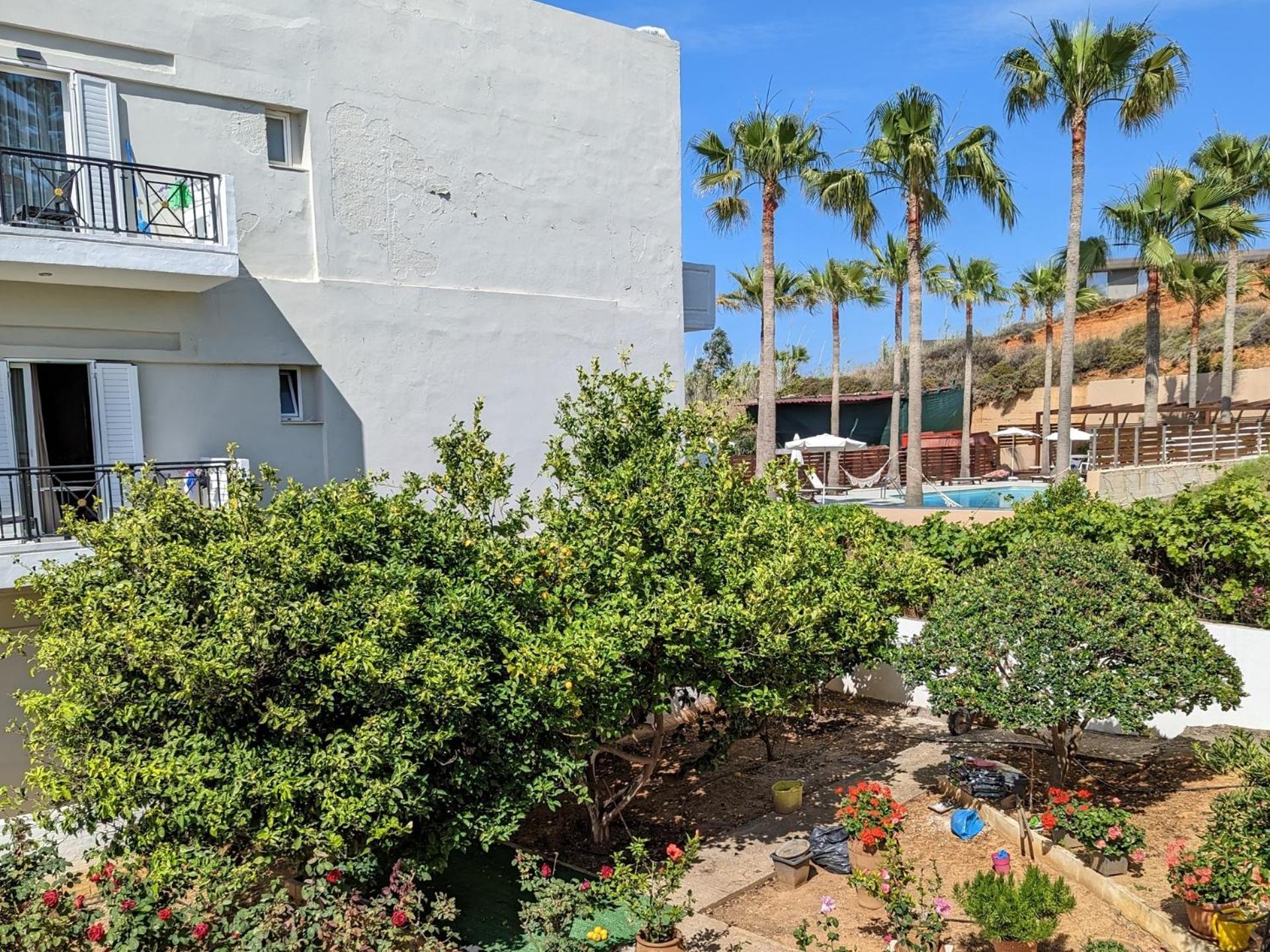Kalliopi Studios - Apartments Chania  Room photo